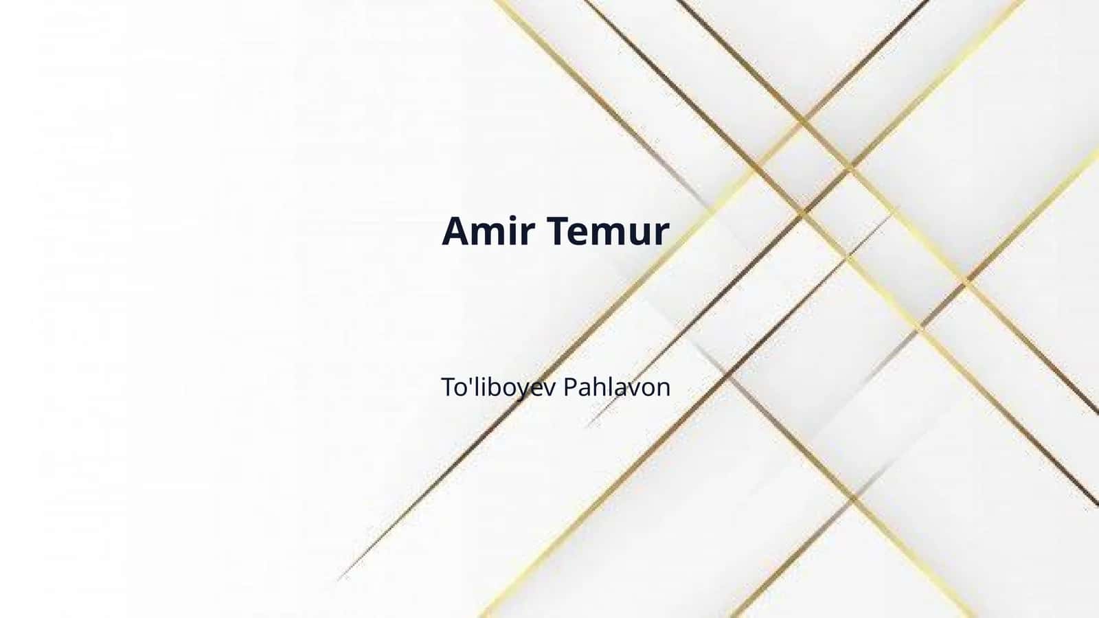 Amir Temur