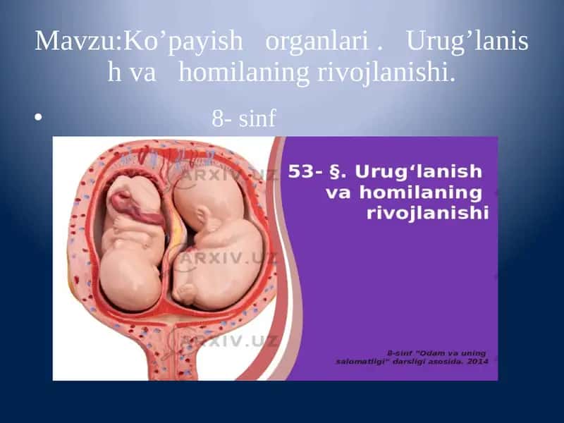 Ko’payish organlari . Urug’lanish va homilaning rivojlanishi