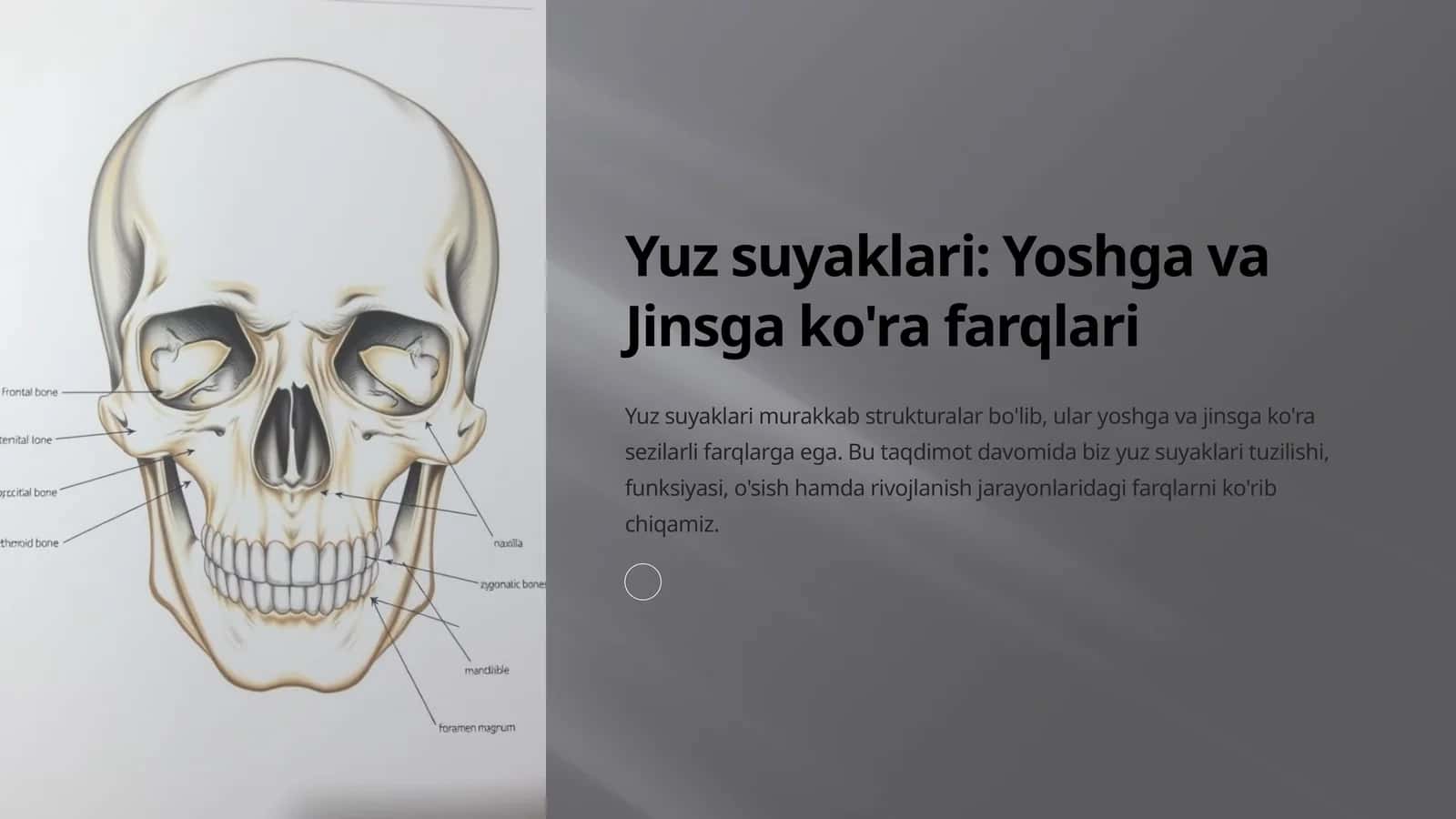 Yuz suyaklari: Yoshga va Jinsga ko'ra farqlari