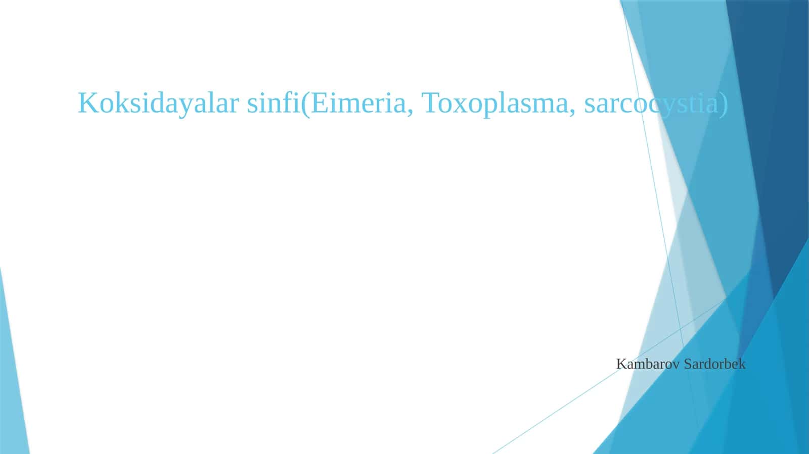 Koksidayalarsinfi(Eimeria, Toxoplasma,sarcocystia)