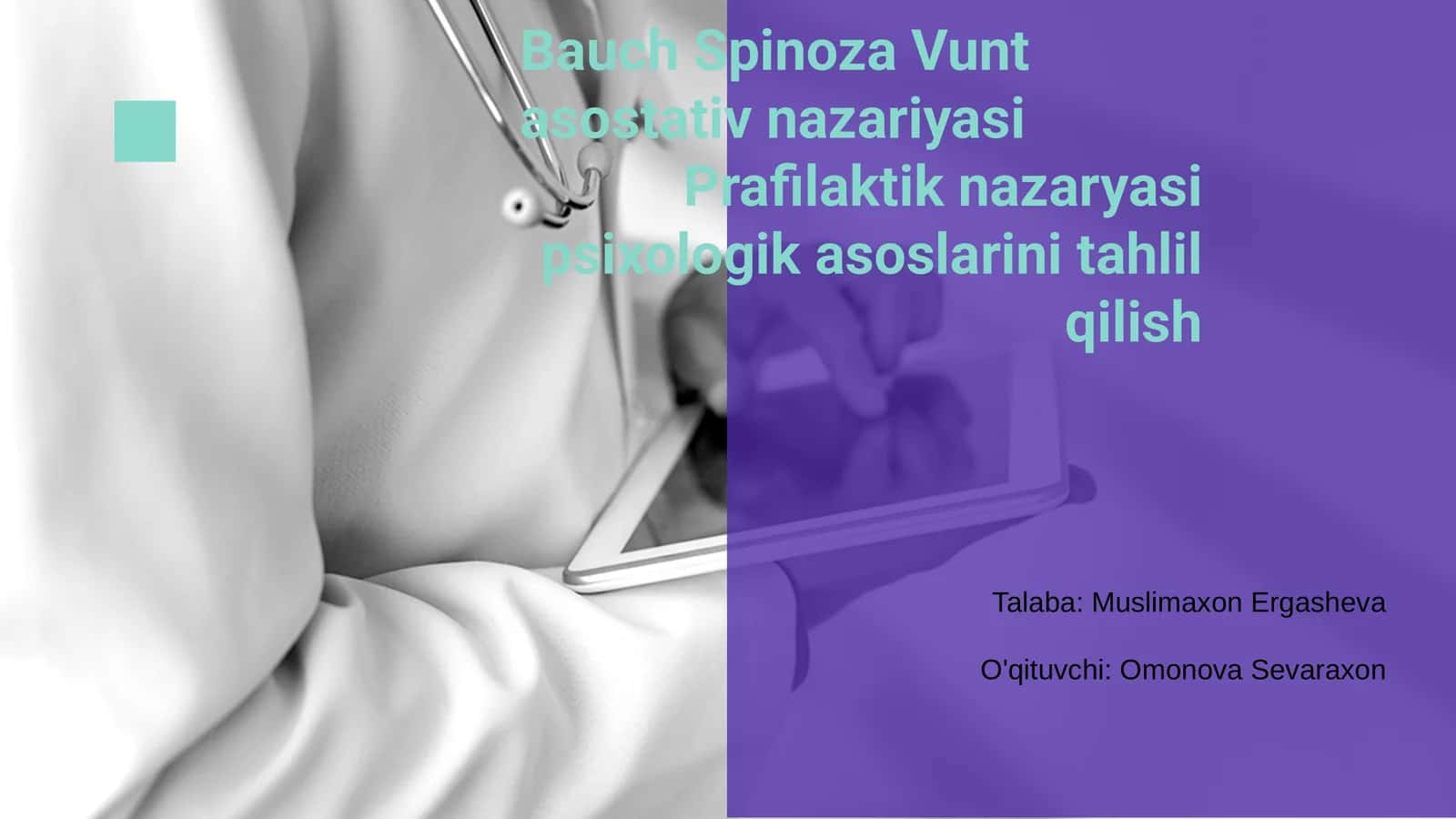 Bauch Spinoza Vunt