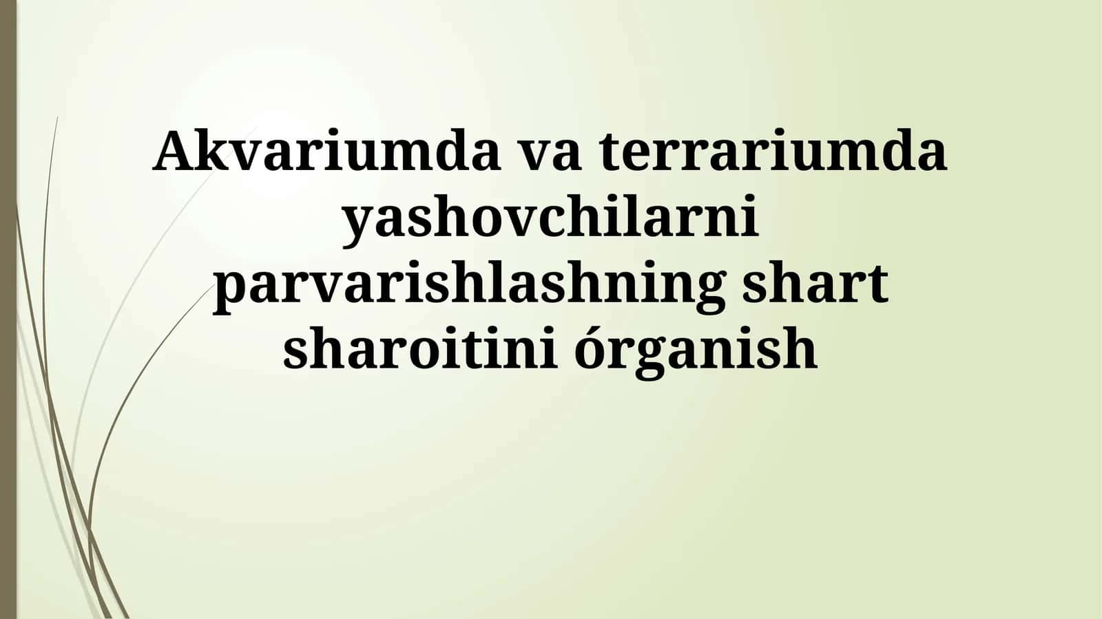 Akvariumda va terrariumda yashovchilarni parvarishlashning shartsharoitiniórganish