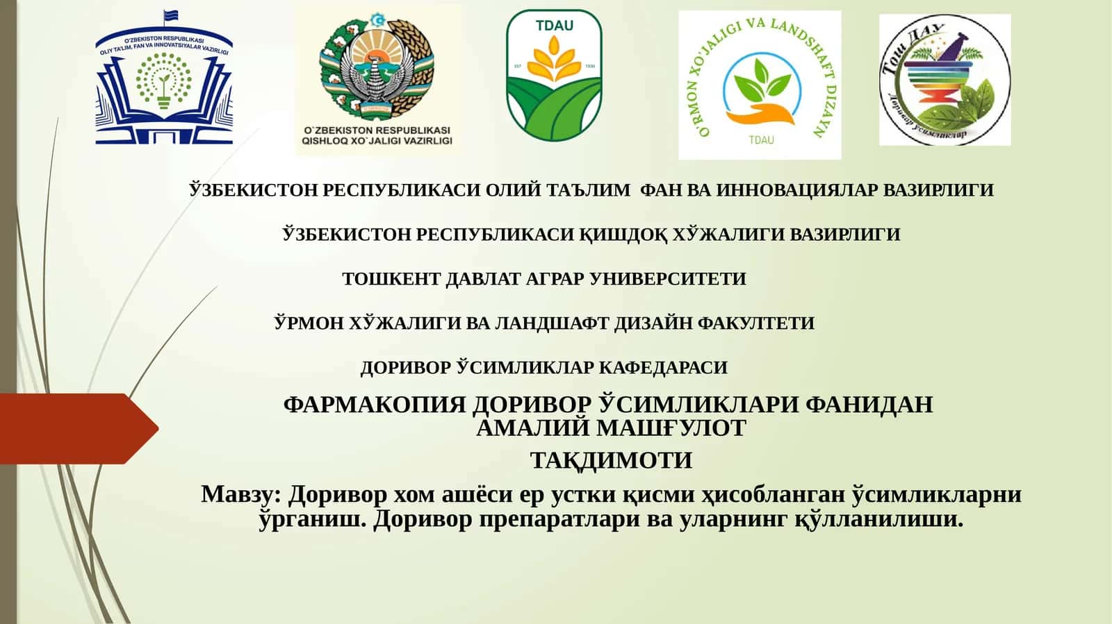 Доривор хом ашёси ер устки қисми ҳисобланган ўсимликларни ўрганиш. Доривор препаратлари ва уларнинг қўлланилиши.