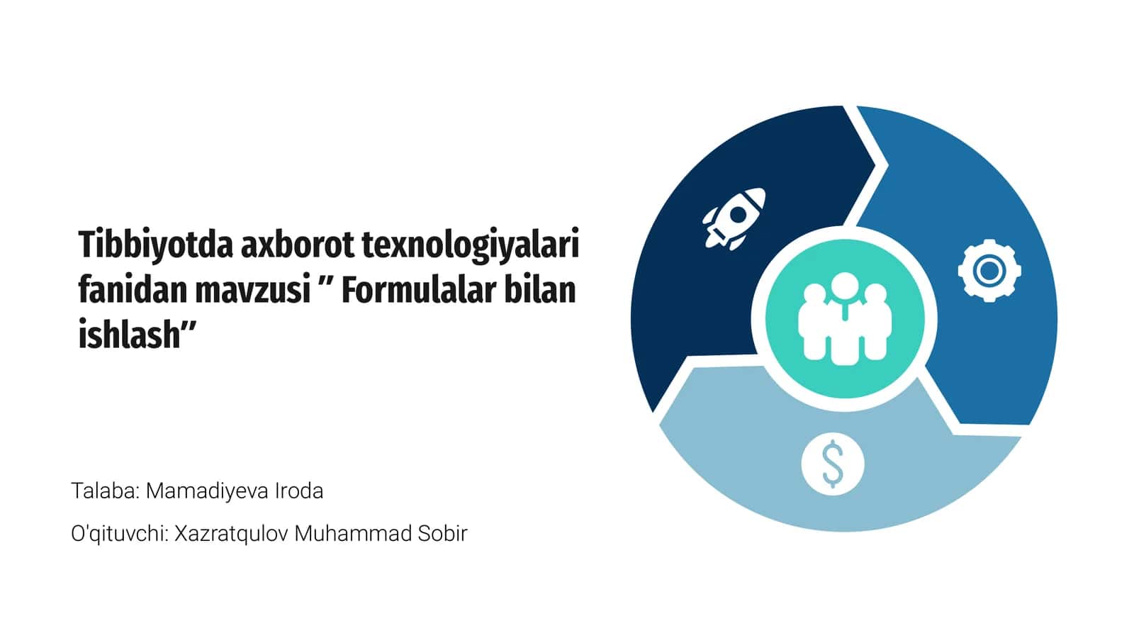 Formulalar bilan ishlash