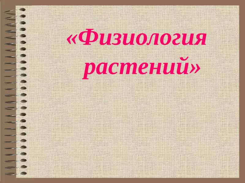 Физиология растений