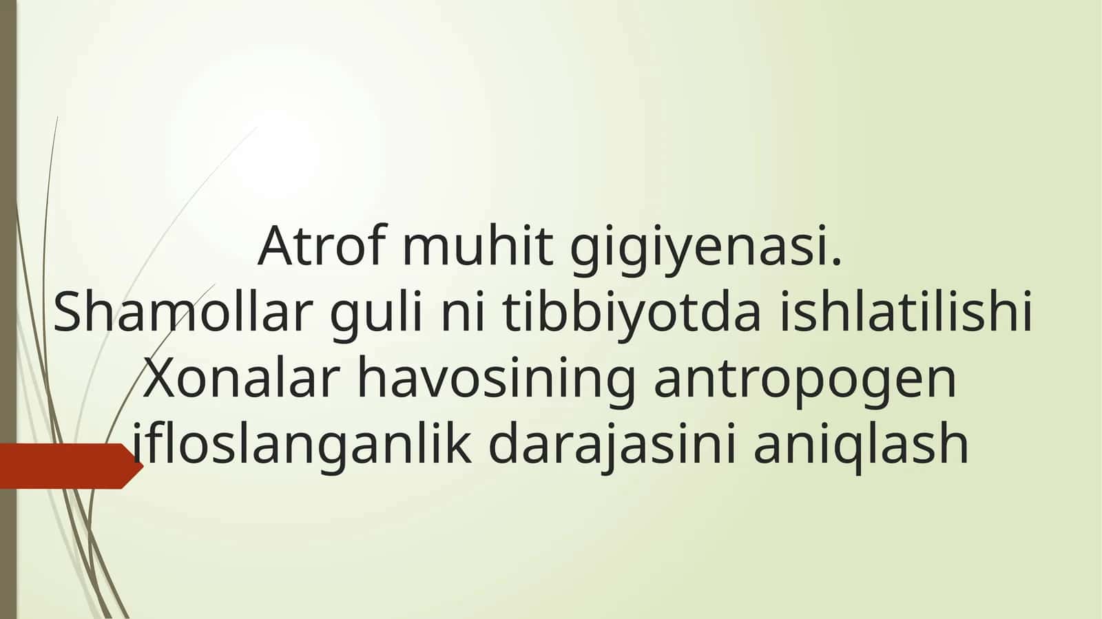Shamollar Gulinini Tibbiyotda Ishlatilishi