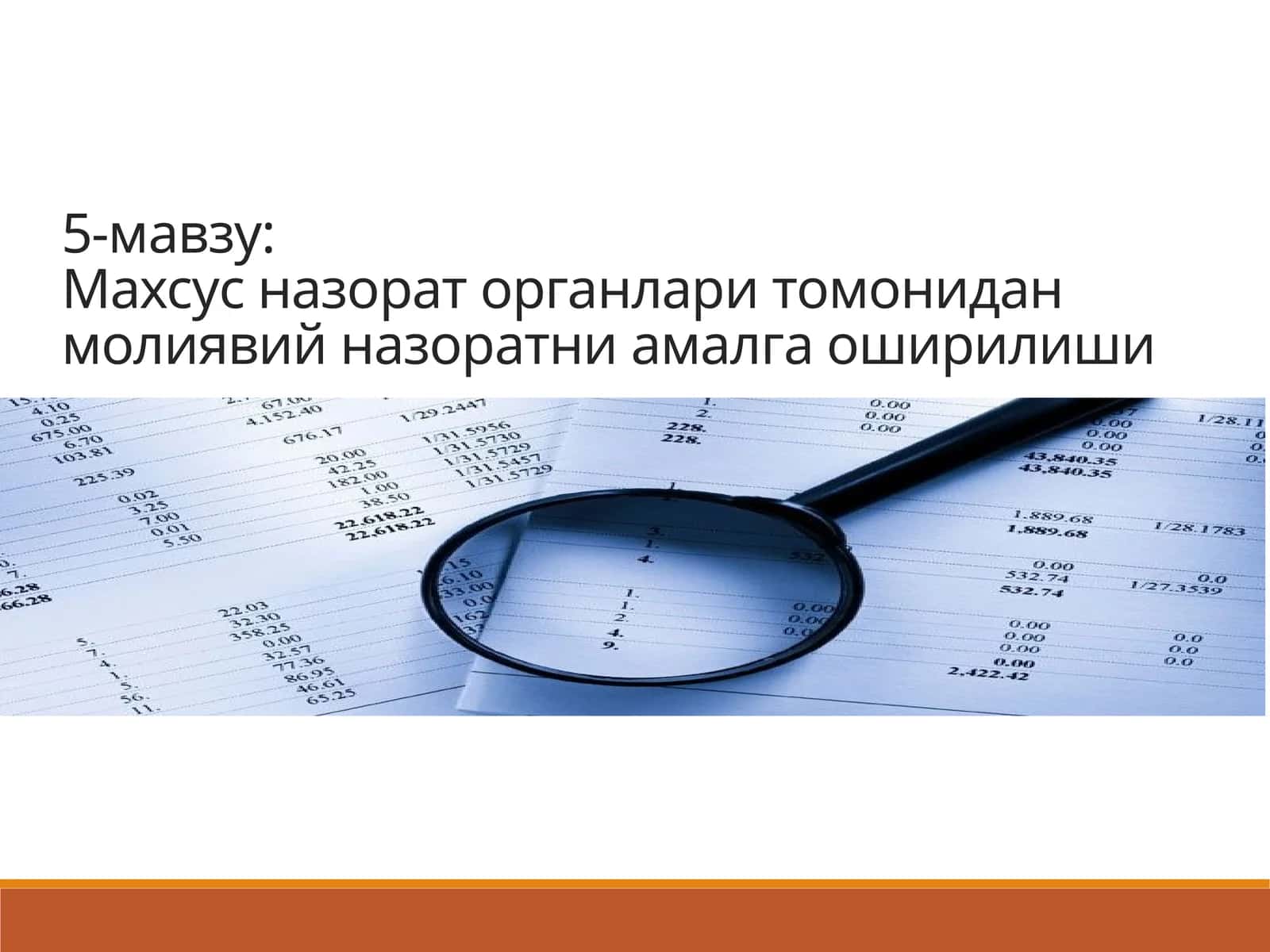 Махсус назорат органлари томонидан молиявий назоратни амалга оширилиши