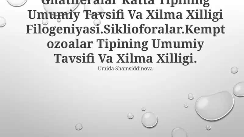 Gnatiferalar Katta Tipining Umumiy Tavsifi Va Xilma Xilligi Filogeniyasi.Siklioforalar.Kemptozoalar Tipining Umumiy Tavsifi Va Xilma Xilligi