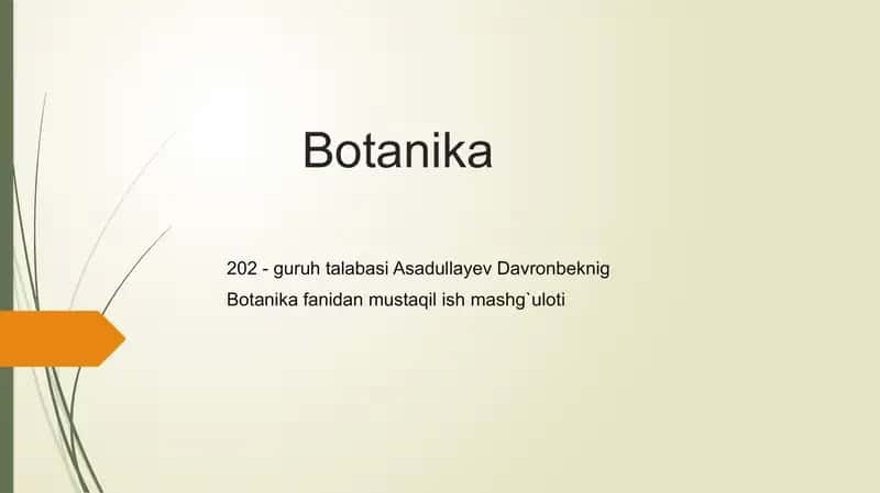 Botanika,O'simliklarning hayotiy shakllari, Teofrastning botanika haqidagi tadqiqotlari.
