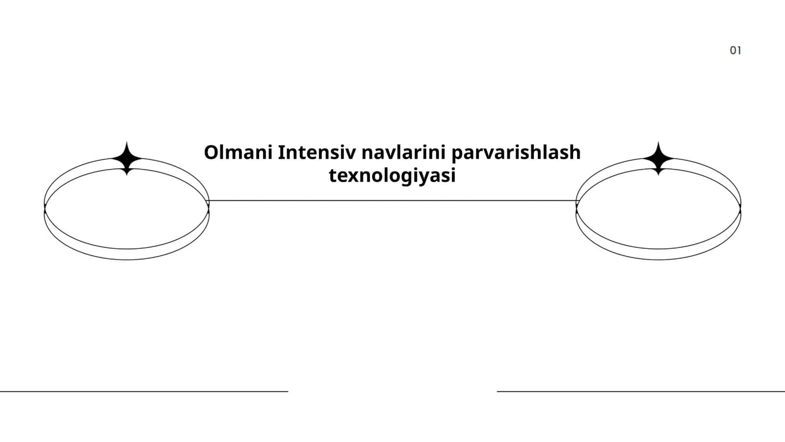 Olmani Intensiv navlarini parvarishlash texnologiyasi