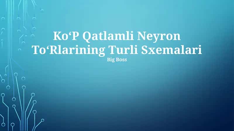 KoʻP Qatlamli Neyron ToʻRlarining Turli Sxemalari