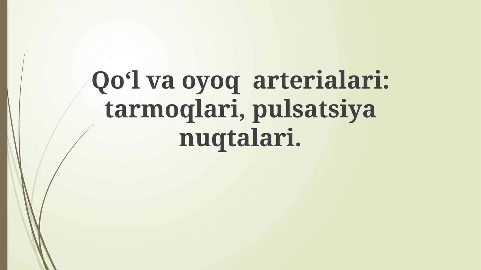 Qo‘l va oyoq arteriyalari: tarmoqlari, pulsatsiyanuqtalari