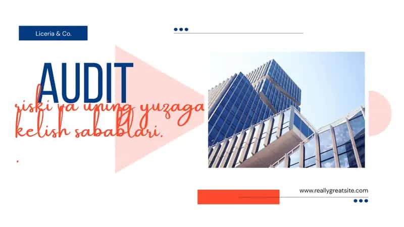 Audit riski va uning yuzaga kelish sabablari