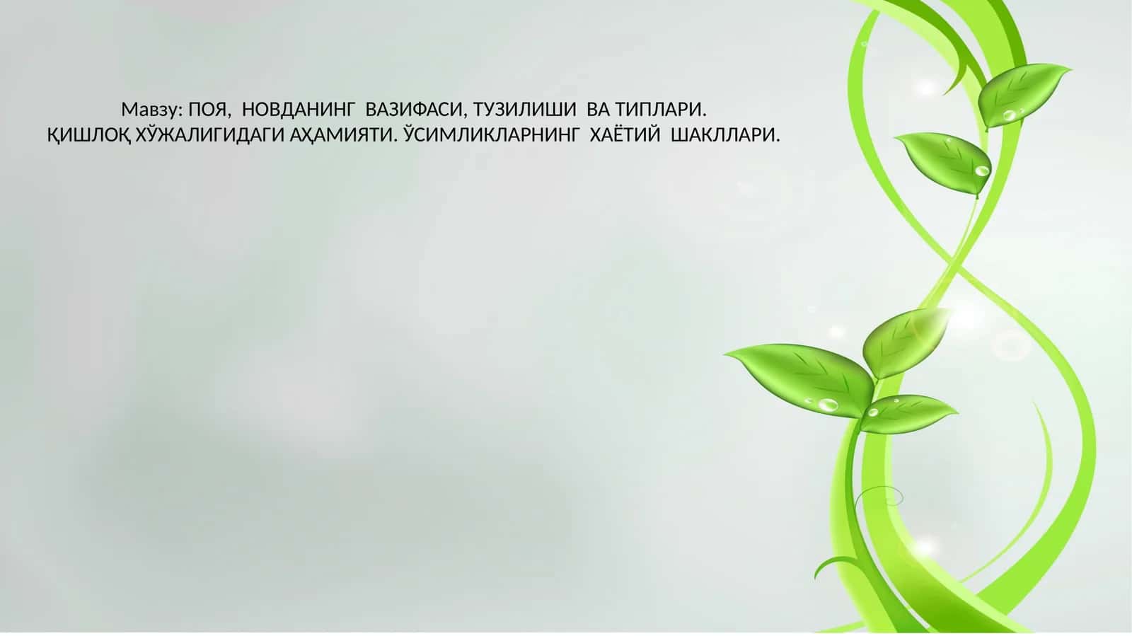 ПОЯ, НОВДАНИНГ ВАЗИФАСИ, ТУЗИЛИШИ ВА ТИПЛАРИ