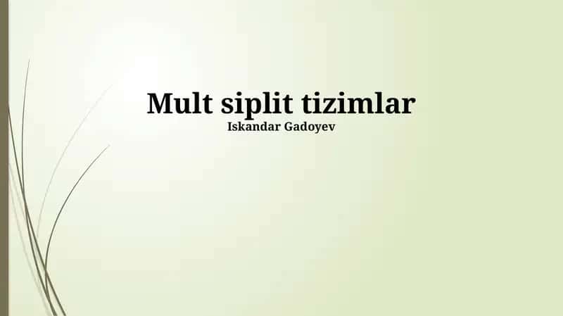 Mult siplit tizimlar