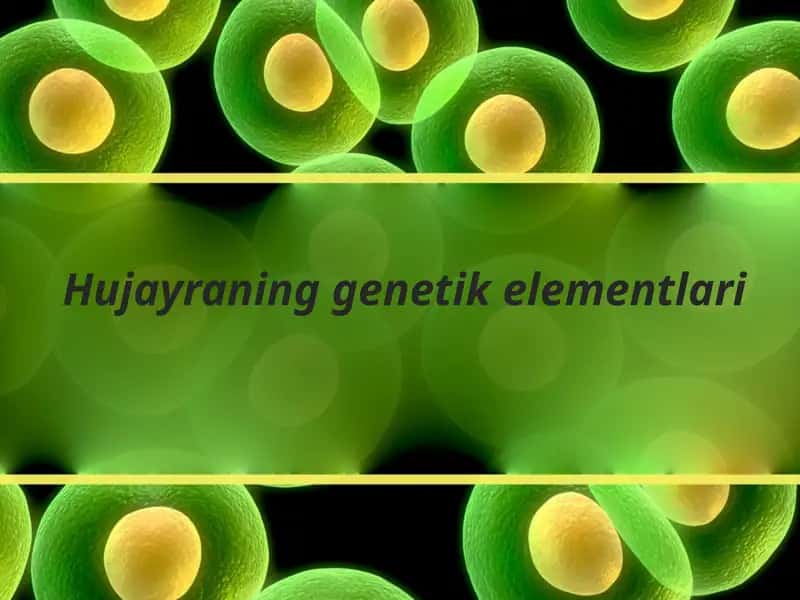 Hujayraning genetik elementlari