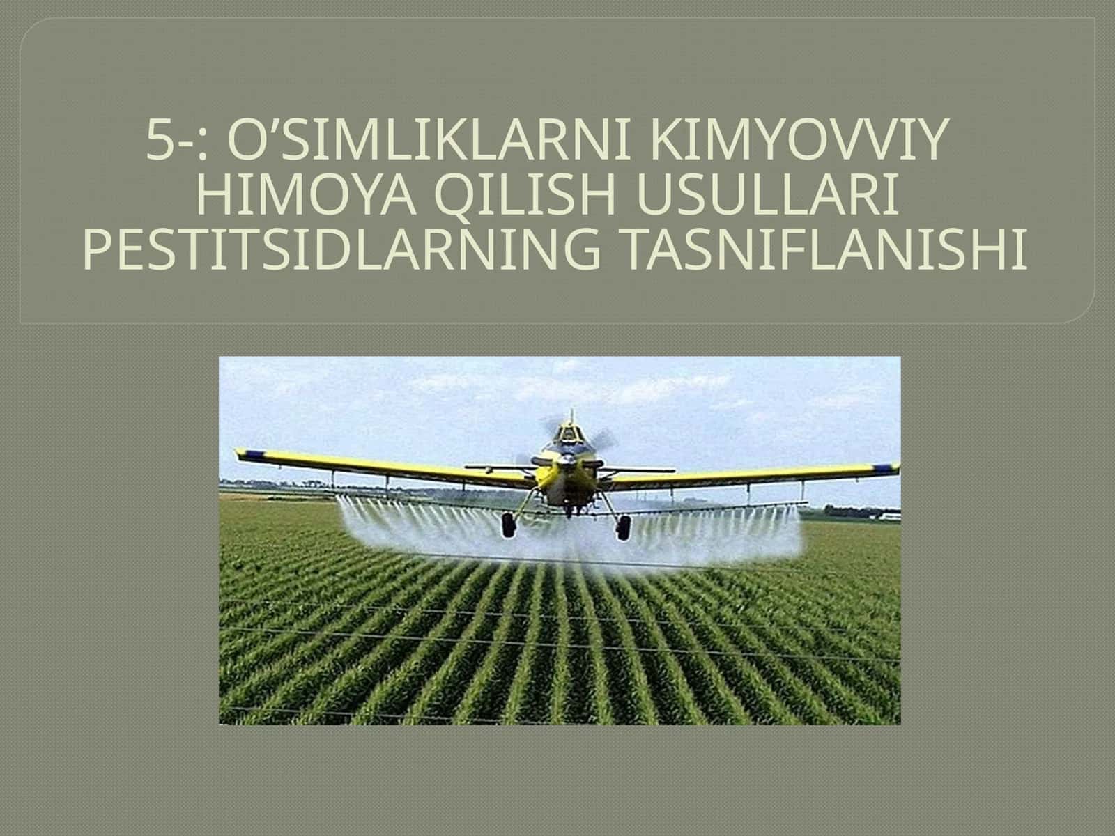 O’SIMLIKLARNI KIMYOVVIY HIMOYA QILISH USULLARIPESTITSIDLARNING TASNIFLANISHI