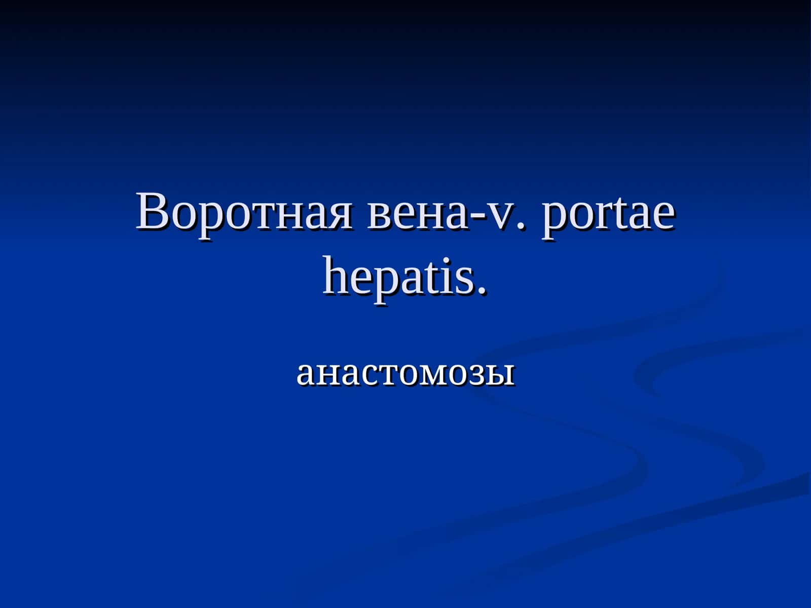 Воротная вена-v. portaehepatis