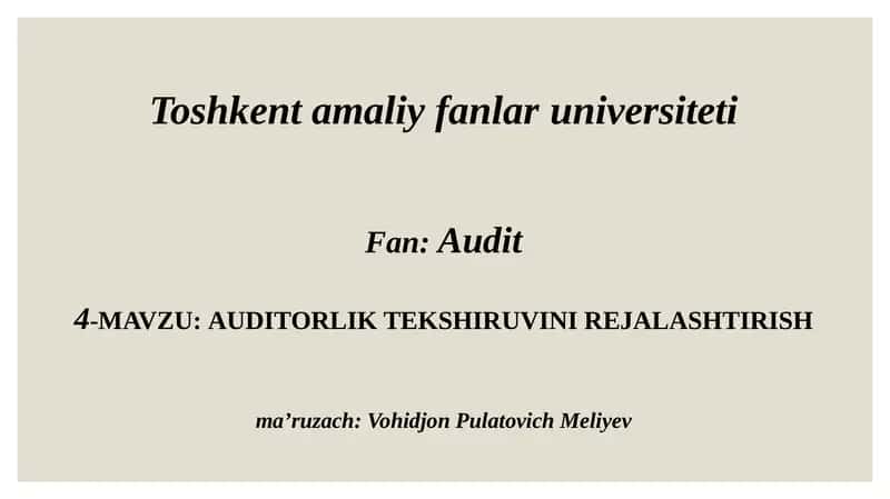AUDITORLIK TEKSHIRUVINI REJALASHTIRISH