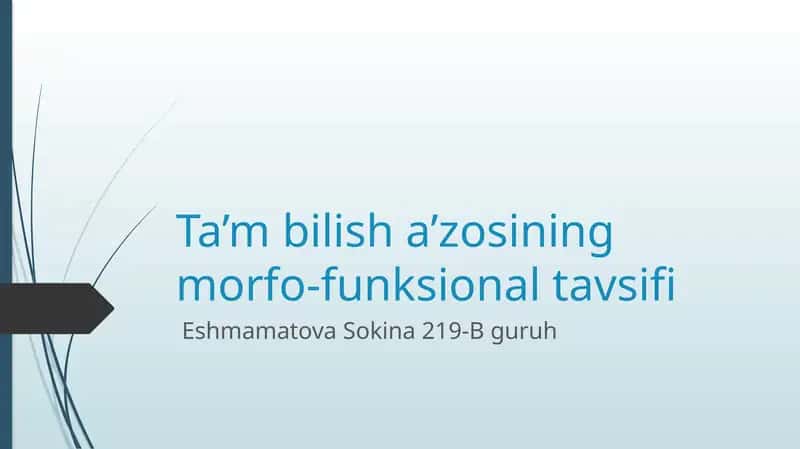 taʼm bilish aʼzosining morfofunksional tavsifi
