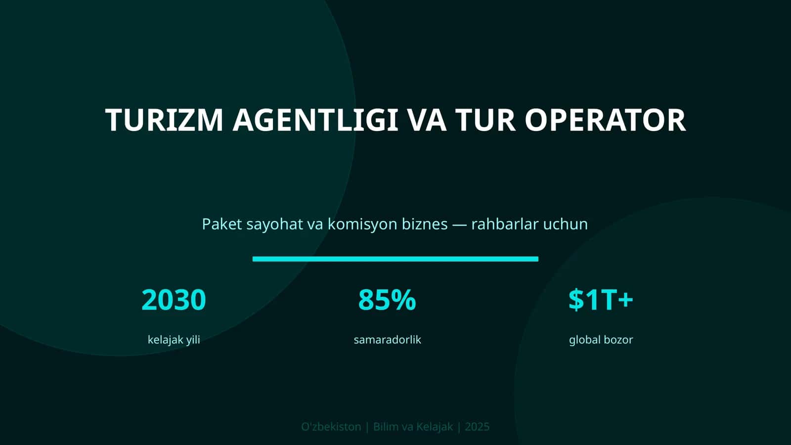 Turizm Agentligi va Tur Operator