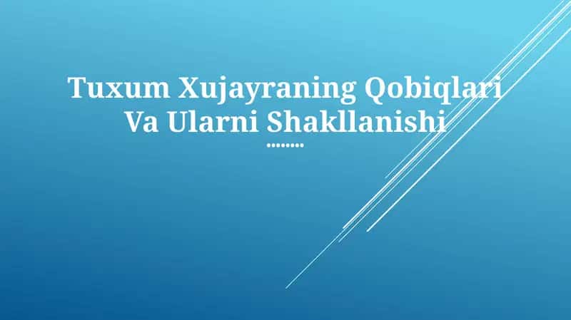 Tuxum Xujayraning Qobiqlari Va Ularni Shakllanishi