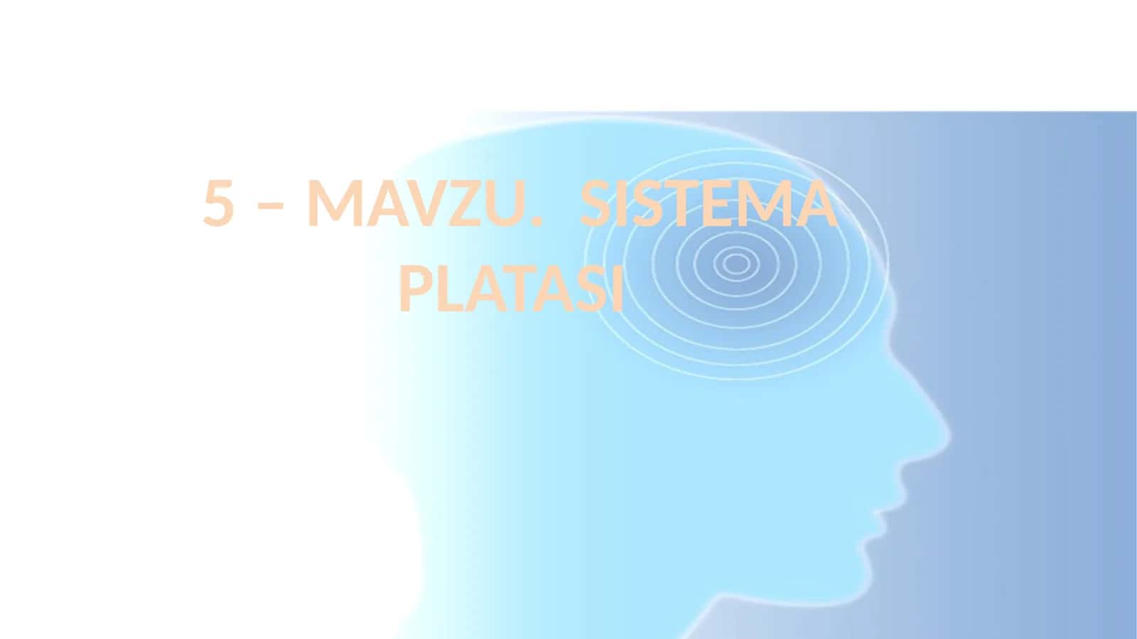 SISTEMA PLATASI