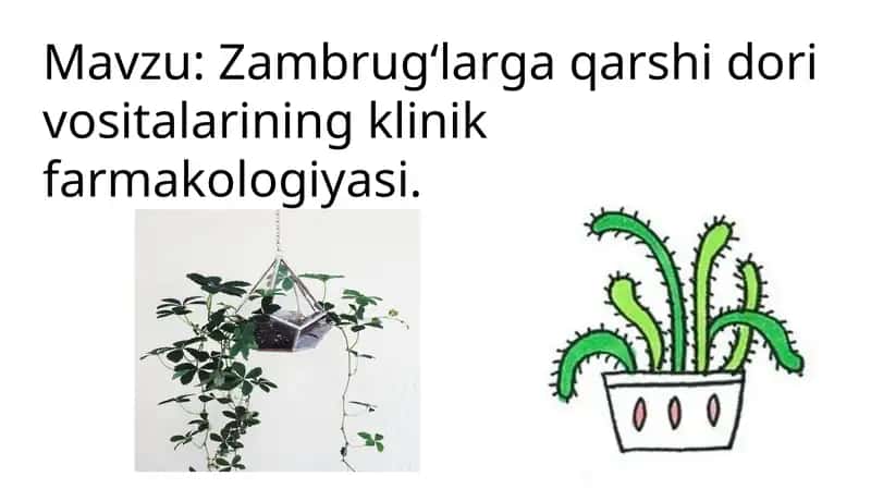 Zambrugʻlarga qarshi dori vositalarining klinik farmakologiyasi