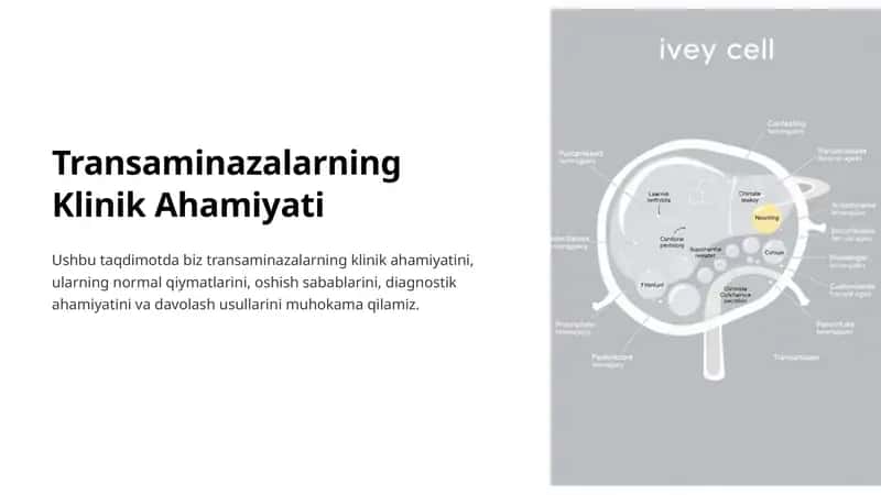 Transaminazalarning Klinik Ahamiyati