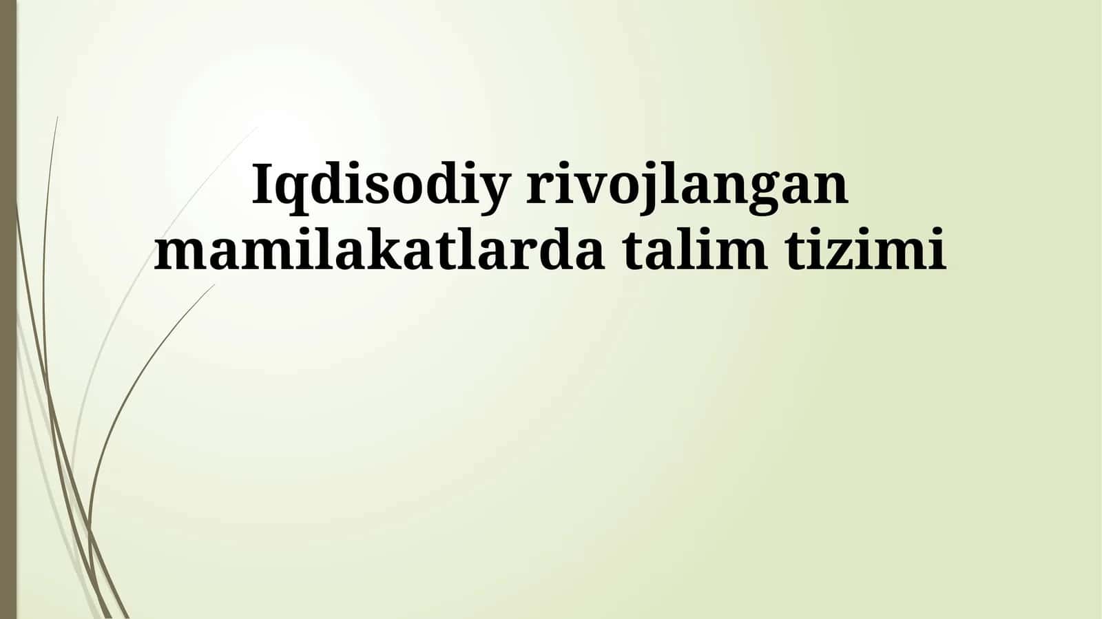 Iqdisodiy rivojlangan mamilakatlarda talim tizimi