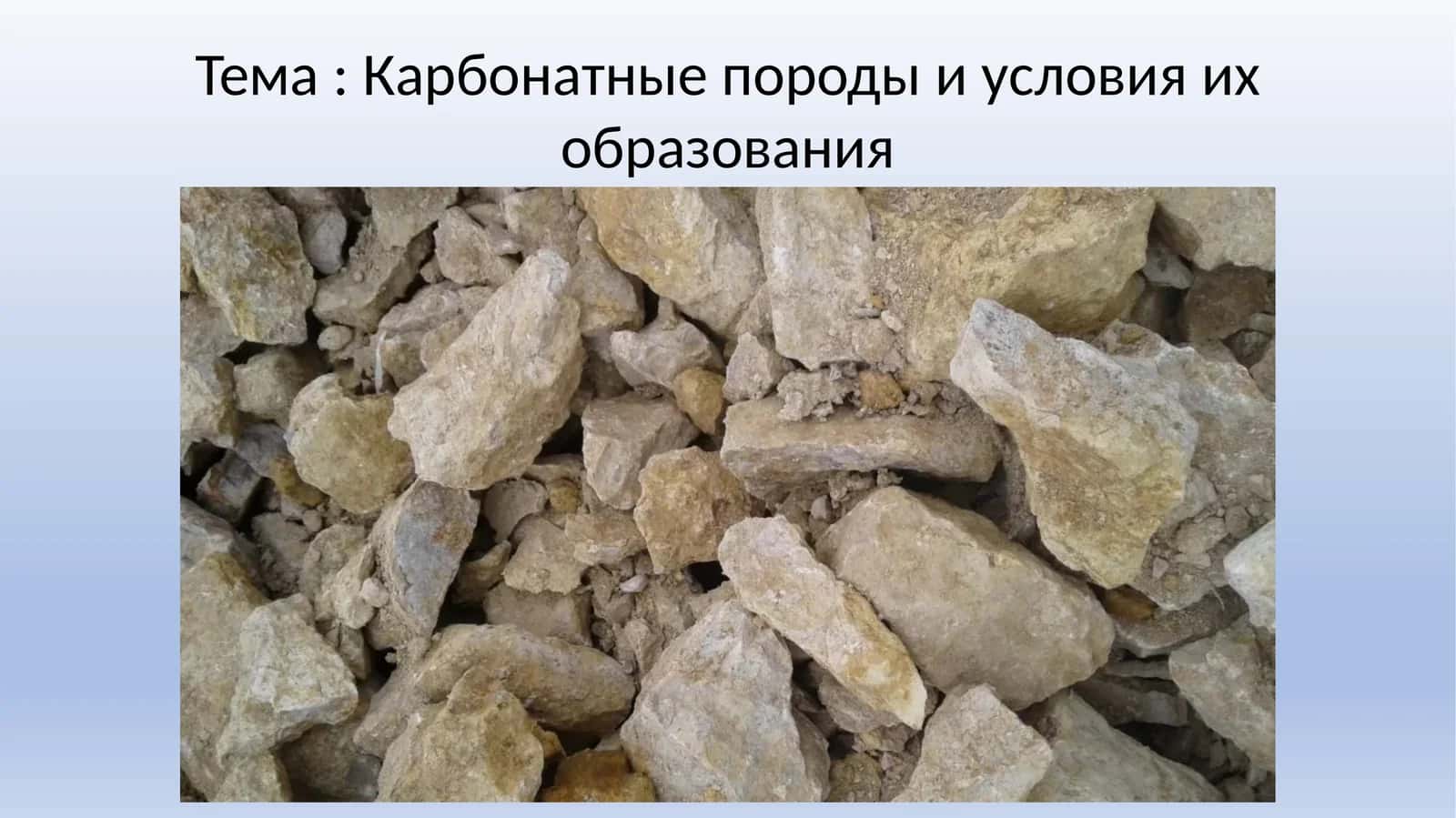 Карбонатные породы и условия их образования