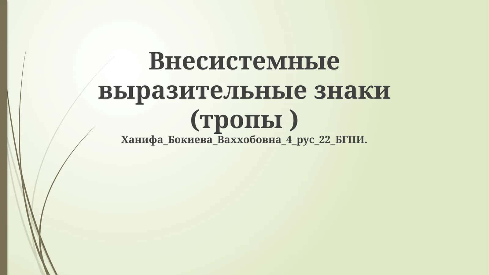 Внесистемные выразительные знаки (тропы)