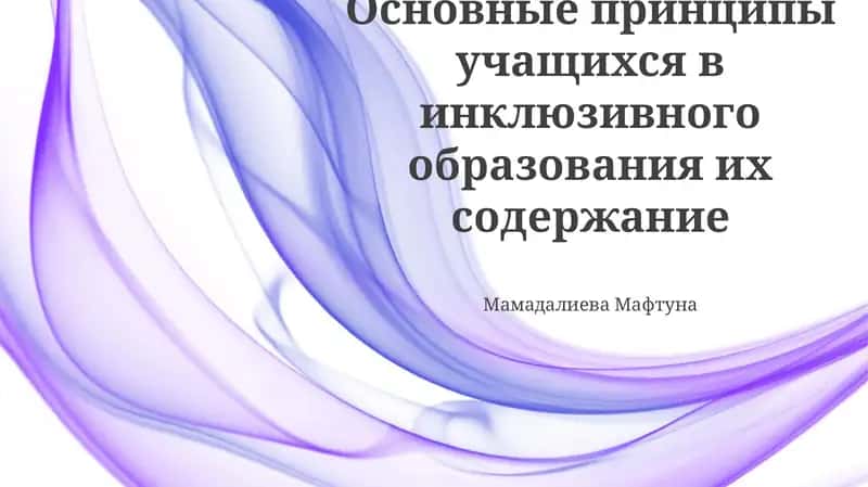 Основные принципы учащихся в инклюзивного образования их содержание