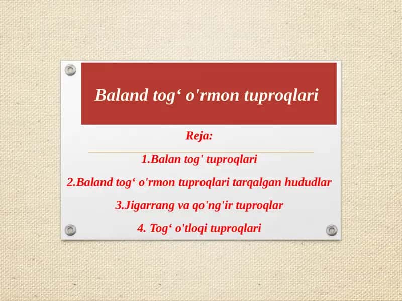 Baland tog' o'rmon tuproqlar