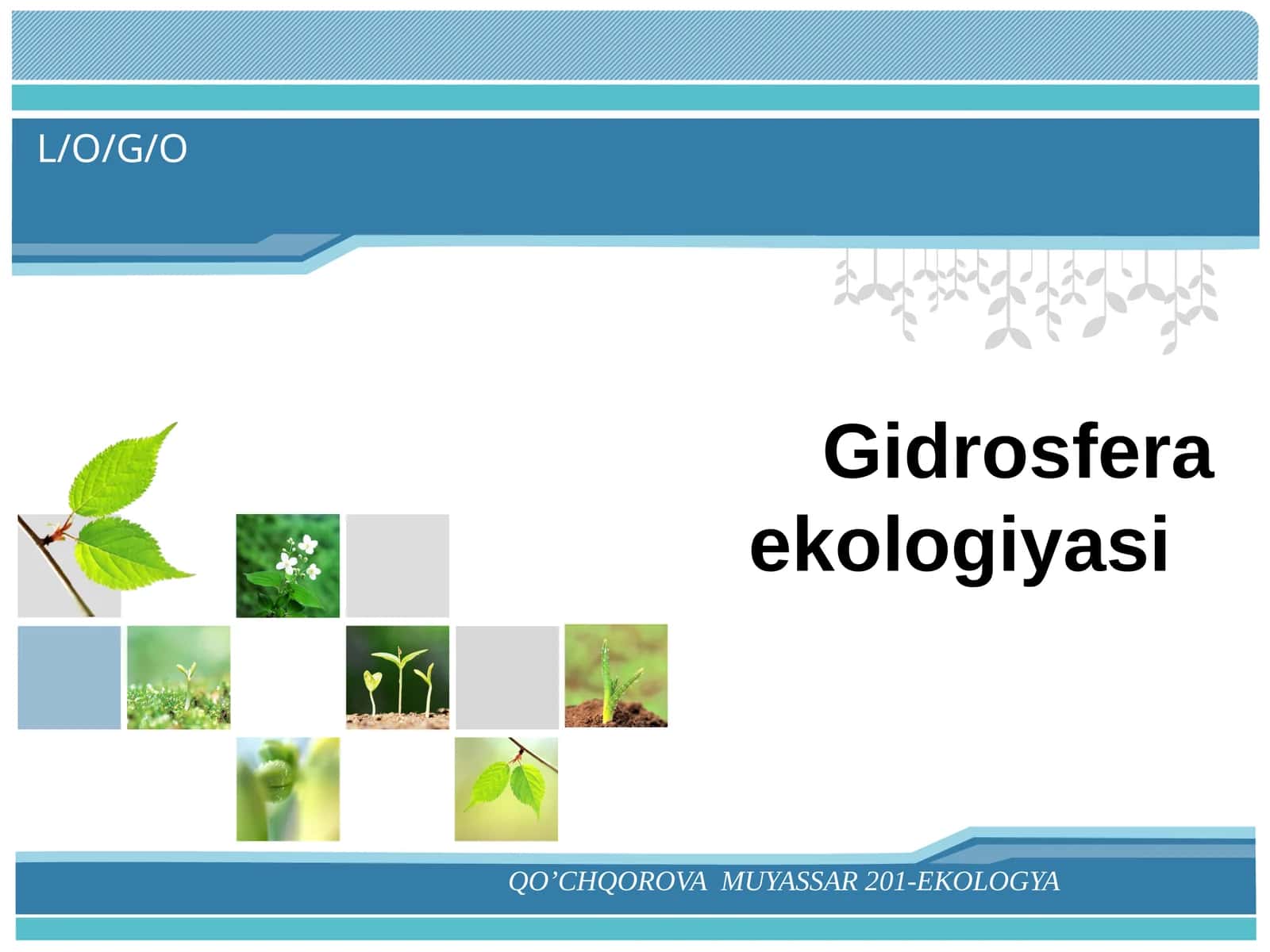 Gidrosfera ekologiyasi