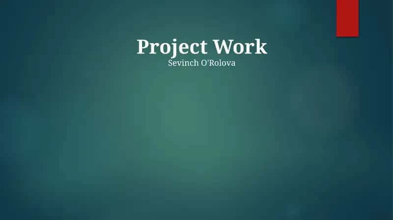 Project Work