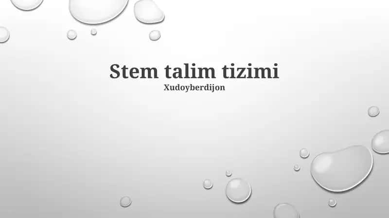 STEM talim tizimi