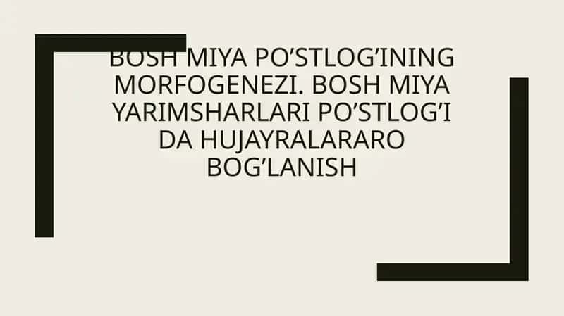 Bosh miya postlogi morfogenezi