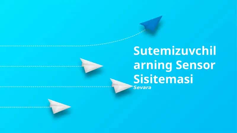 Somatosensor tizimi