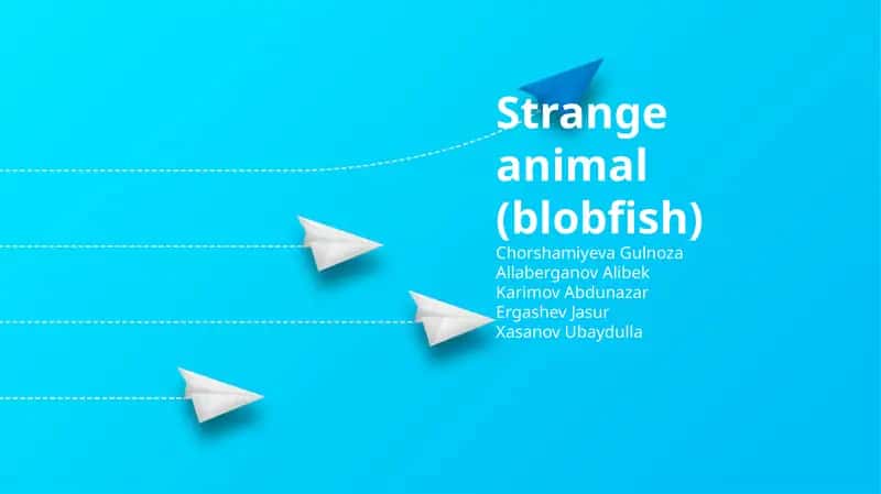 Strange animal (blobfish)