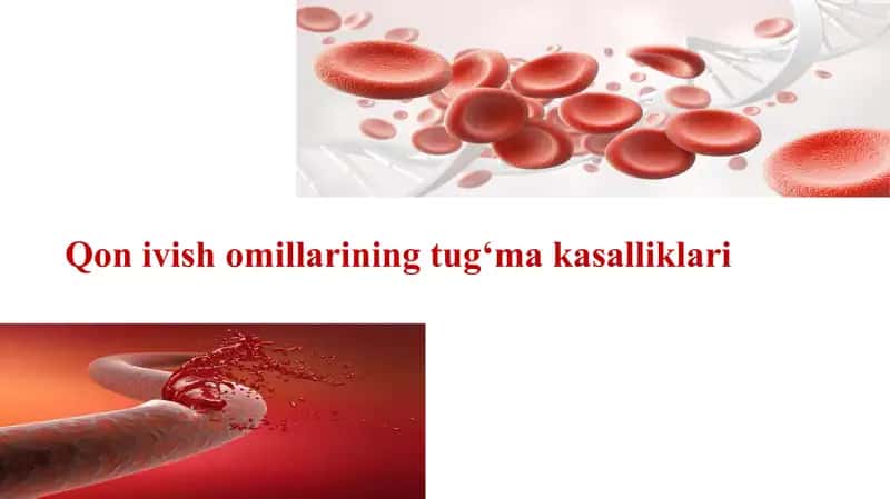 taqdimot