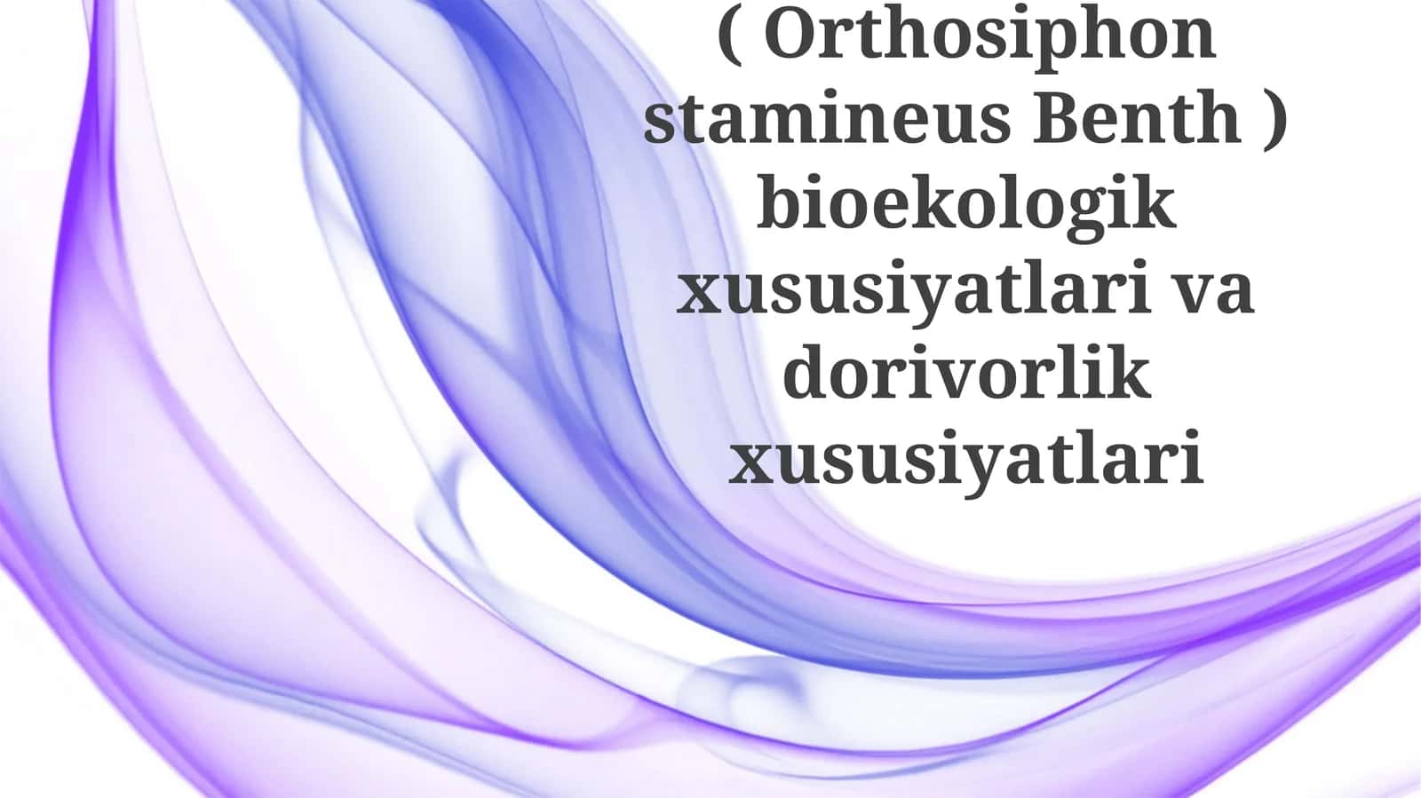 Buyrakchoyi(OrthosiphonstamineusBenth)bioekologik xususiyatlari va dorivorlik xususiyatlari