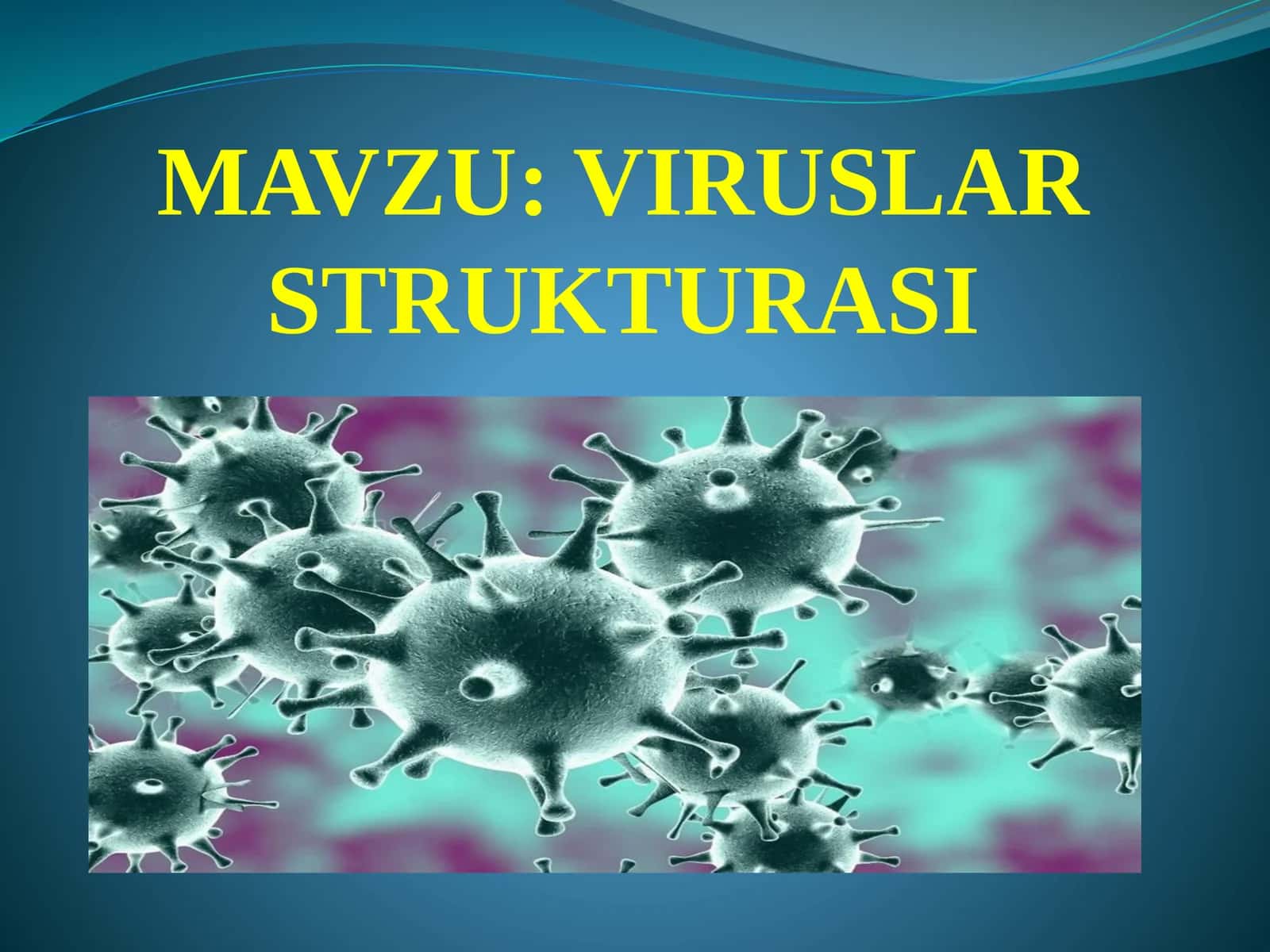 VIRUSLAR STRUKTURASI