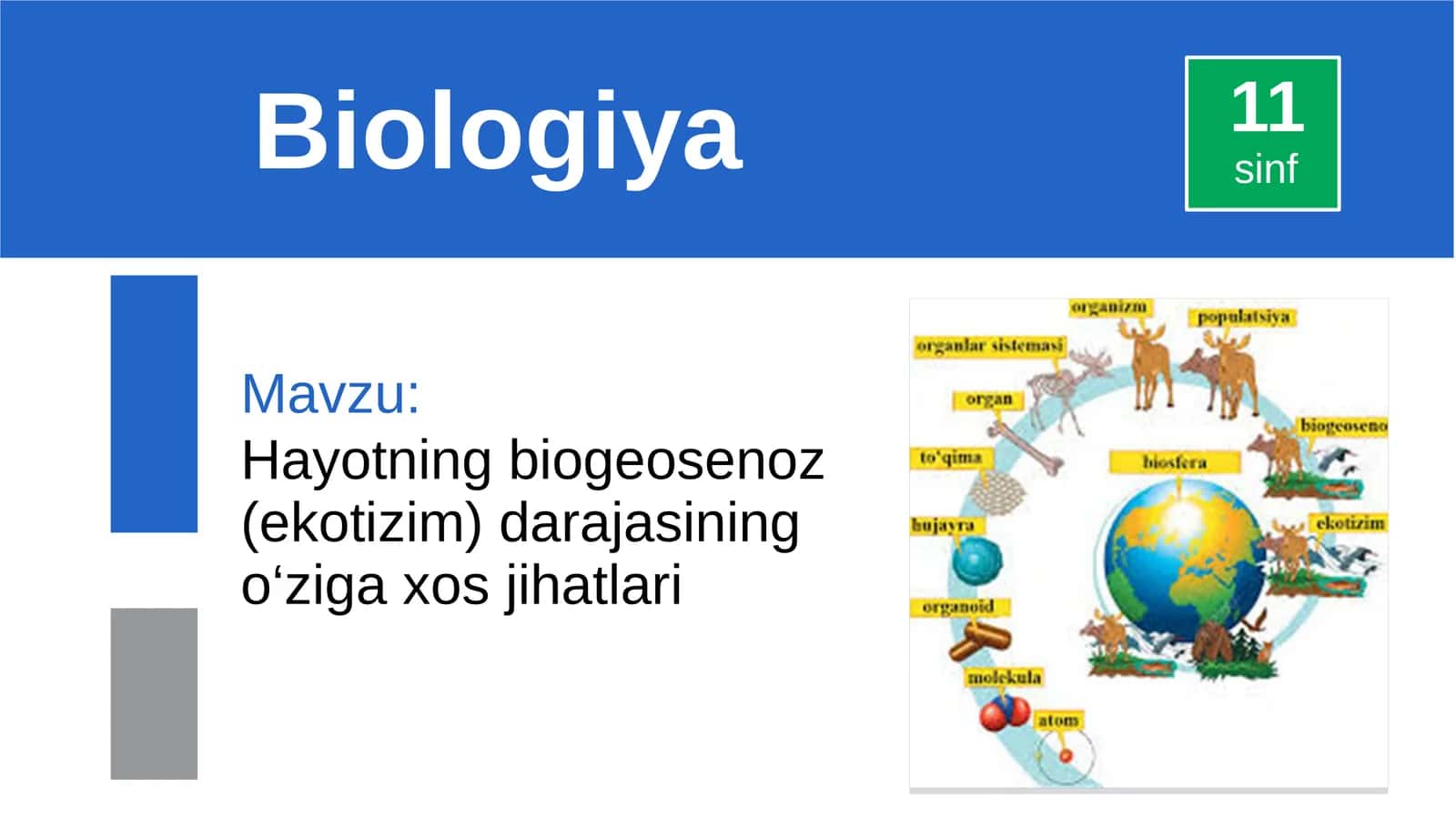 Hayotning biogeosenoz (ekotizim) darajasining o‘ziga xos jihatlari