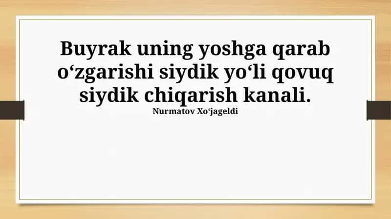 Siydik pufagi