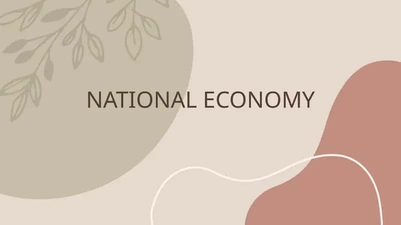 NATIONAL ECONOMY