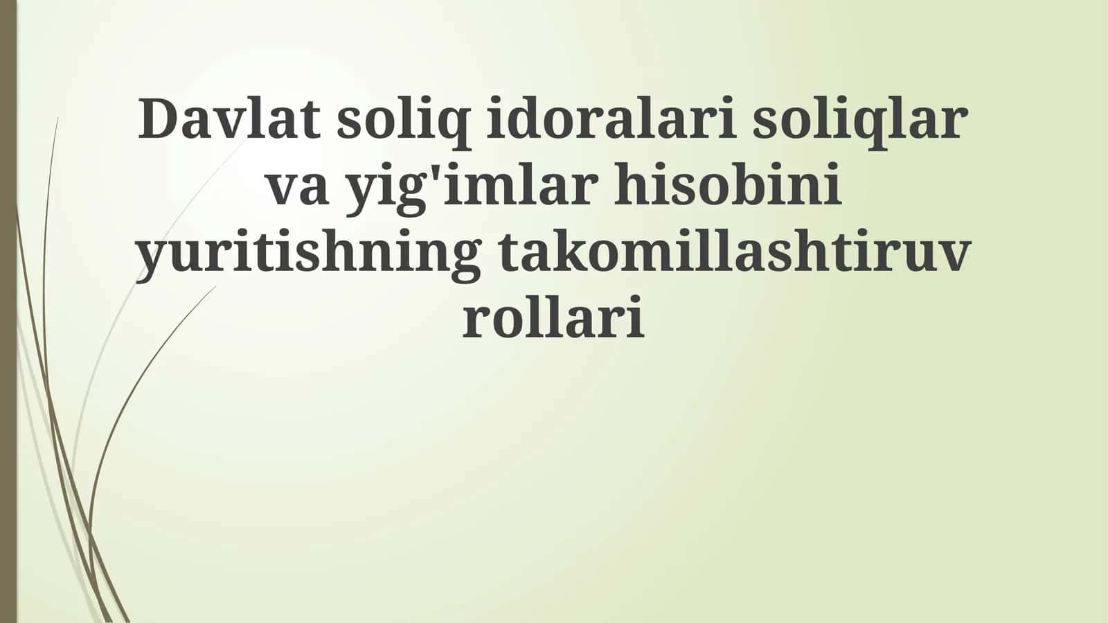 Davlat Soliq Organlarining Soliq va To'lovlar Hisobini Yaxshilashdagi Rolini O'rganish