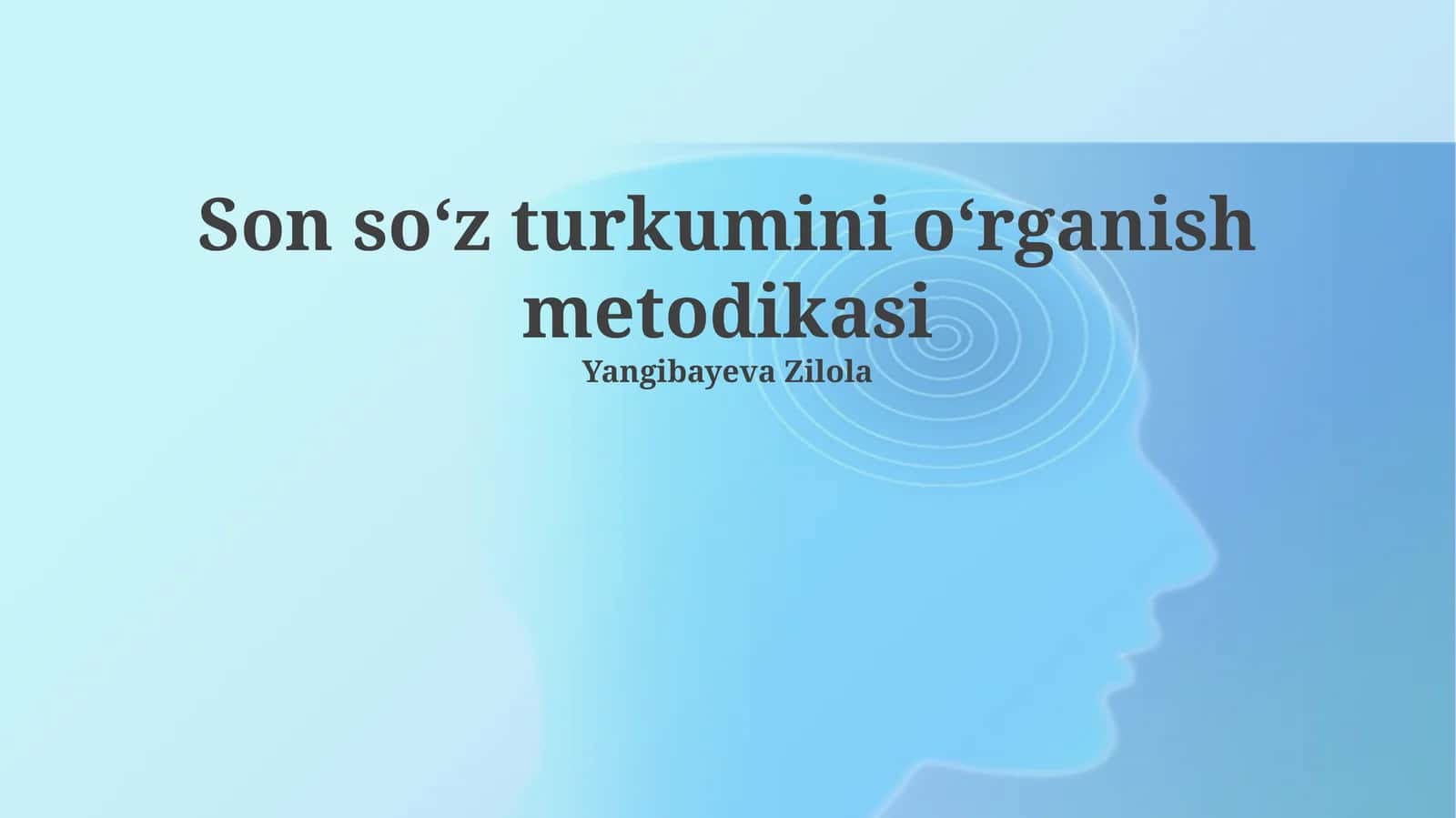 Son soʻz turkumini oʻrganish metodikasi