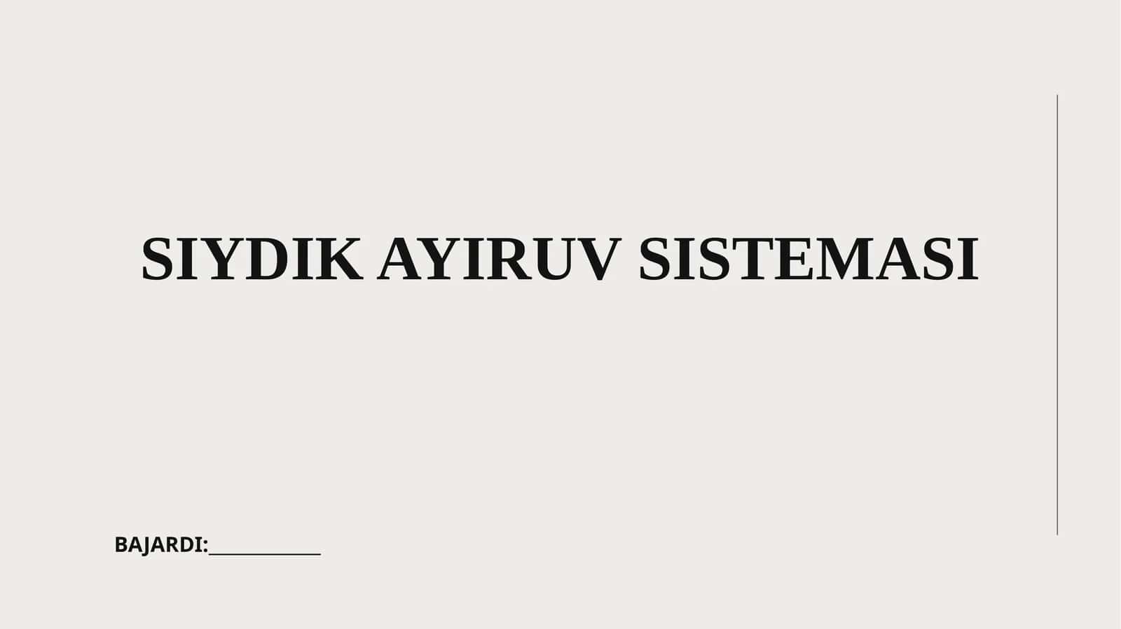 Siydik ayiruv sistemasi