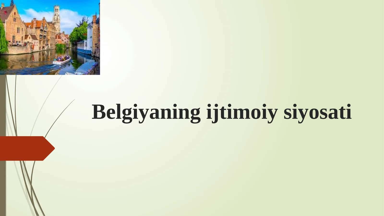 Belgiyaning ijtimoiy siyosati